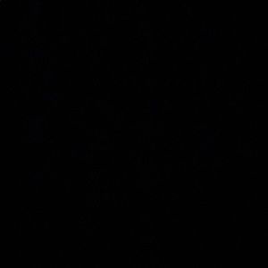 Meet your Posher, Noah